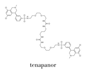 Tenapanor drug molecule. Skeletal formula.