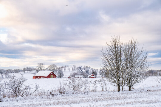 Farm in a rural winter landscape view