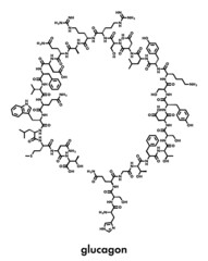 Glucagon hypoglycemia drug molecule. Skeletal formula.