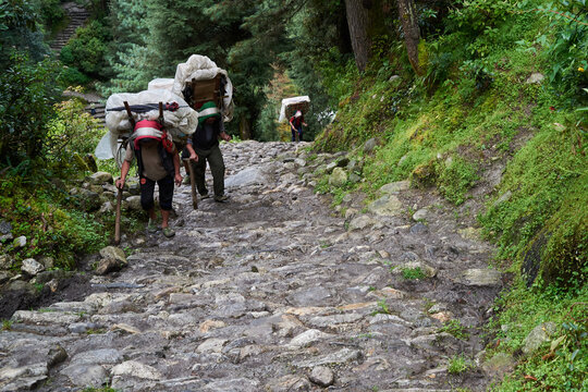 Sherpas Carrying Heavy Load