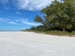 beachside landscape with trees and clouds