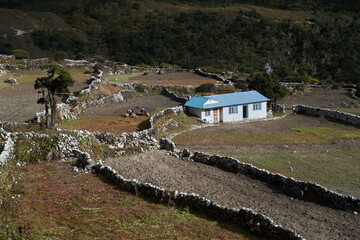 Farm, Khumbu Valley, Nepal