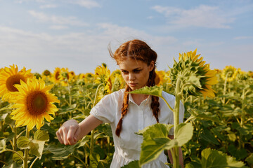 woman with pigtails in a field of sunflowers countryside