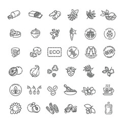 Natural food flat line icons set. flat collection