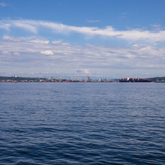 Fototapeta premium Mount Rainier National Park skyline from Seattle in summer. View from Seattle Elliott Bay.