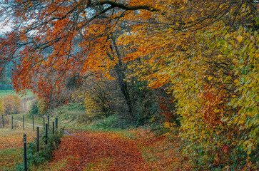 Wanderweg im Rinderbachtal zwischen Velbert und Heiligenhaus im Herbst