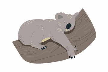 Koala sleep on tree. Lazy character, cute fluffy. Wildlife, animal, graphic elements for website. Zoo, sticker or badge for children. Cartoon flat vector illustration isolated on white background