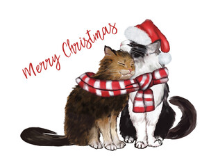 Buon Natale. Due gatti innamorati avvolti in una sciarpa su sfondo bianco. Dipinto