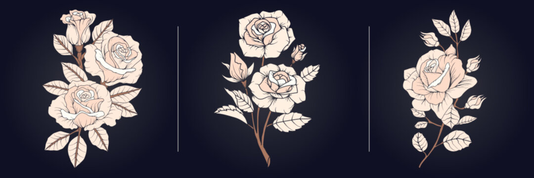 Beautiful background with roses Premium Vector