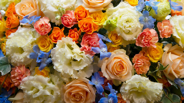 Image of colorful flower arrangement 8K