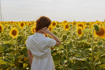 Fototapeta premium woman with two pigtails In a field with blooming sunflowers countryside