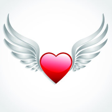 3d glossy heart with white wings illustration