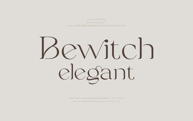 Vintage and classic alphabet font set design. Vector illustration typeface. Decorative serif fonts collection. Ligature collective designs.