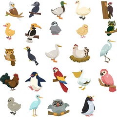 Obraz premium poultry