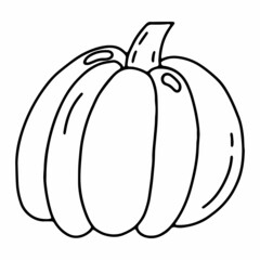 Line art pumpkin. Doodle autumn vegetable for Halloween. Isolated element on a transparent background