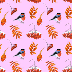 Seamless pattern of leaves and fruits of mountain ash and bullfinch drawn by markers on a pink background.  For fabric, sketchbook, wallpaper, wrapping paper.