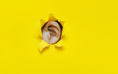 Close-up of a left male ear through a torn hole in yellow paper. The concept of eavesdropping,...