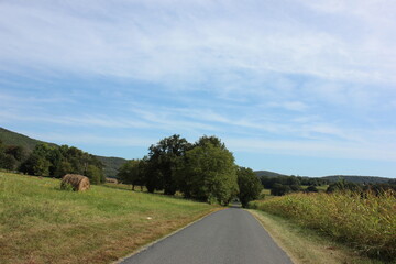 Fototapeta premium Beautiful country road in the green surroundings of the Dordogne, France.