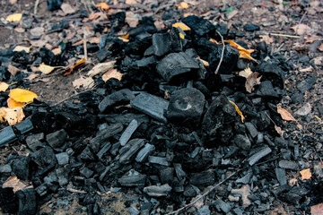 charcoal on the grill