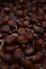 Naklejka premium castañada