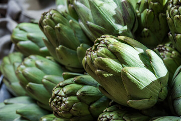 Obraz premium A lot of fresh organic artichokes, on a tray, before cooking in a restaurant. Cynara scolymus. Asteraceae family