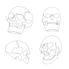 one line skull, modern minimalist style, human anatomy