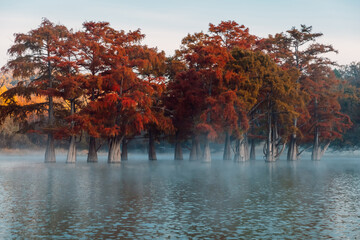 Fototapeta na wymiar Autumnal trees in early morning on lake with fog on water.