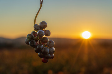 Ardeche im November Frankreich