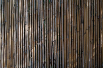 Natural detailed bamboo textured wall as a background