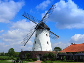 Fototapeta na wymiar Elfrather Windmühle in Krefeld