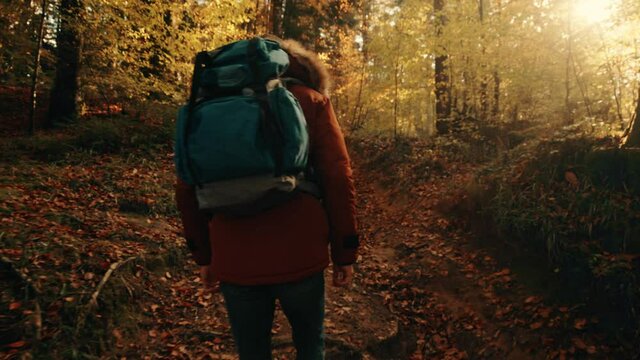 Giovane ragazzo fa escursioni in montagna in Autunno