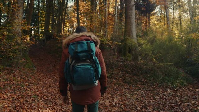Giovane ragazzo fa escursioni in montagna in Autunno