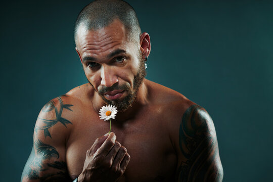 Latino or Cuban with naked strong and muscular torso holds small white chamomile in his hand and looks into camera. Sexy tanned man holds flower in his hand. Concept of potency and male power.