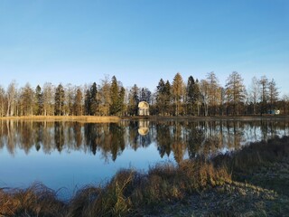 late autumn in Gatchina Park fallen leaves cold water