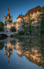 View on Vajdahunyad castle in the City Park of the Hungarian capital Budapest	