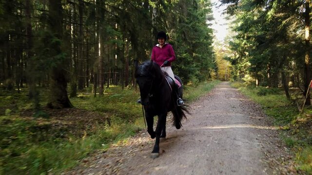 Happy Equestrian trots with black friesian horse  through the green forest while enjoying life in slow motion