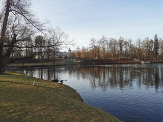 late autumn in Gatchina Park fallen leaves cold water