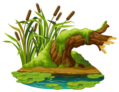 Stump in moss in marsh. Cartoon log in swamp jungle. Broken tree oak, salvinia, water lily. Isolated vector element on white background.