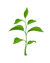 Green plant. Agriculture. Isolated on white background. Eps10 vector illustration.