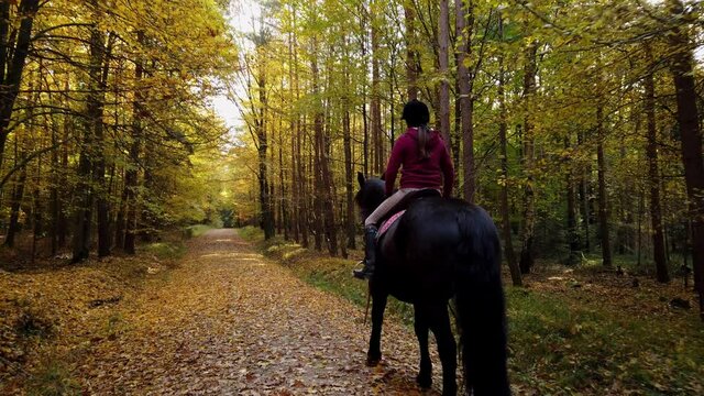 Women slow motion riding on a forest road through the deciduous forest in autumn in Slow Motion