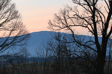 The mountain seen through the branches of the trees at sunset.
