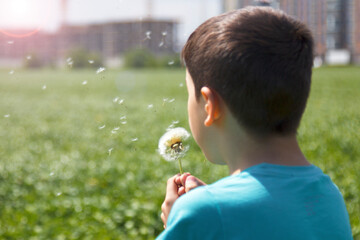 The boy blows off a dandelion, the concept