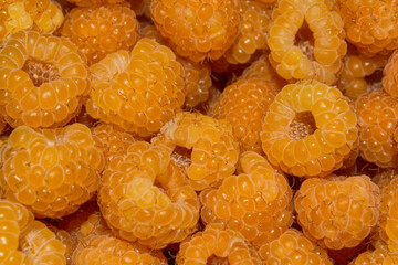 Ripe yellow raspberry (Latin: Rubus idaeus) closeup. Berry background-texture.