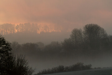 morgennebel