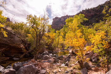 Wild untouched landscape surrounding the Left Fork Creek in Zion NP