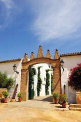 Fototapeta premium Villanueva del Ariscal Bodegas Góngora, provincia de Sevilla, España. Vinos finos de Andalucía. Bodegas de Andalucía. Bodegas de Sevilla. Vinos de España