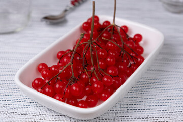 Berries and sprigs of red viburnum close-up on a white plate on a white background
