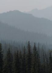 Smokey Forrest Fire Views of Jasper National Park 