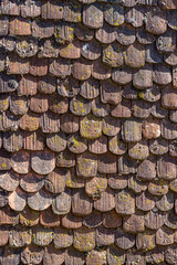 Roof of one of the towers of the castle