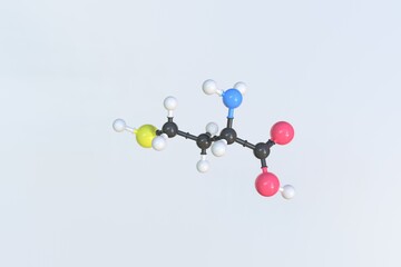 Homocysteine molecule, isolated molecular model. 3D rendering